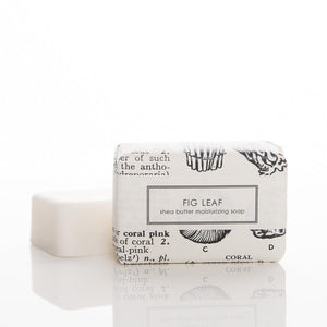 Shea Butter Soap - Fig Leaf